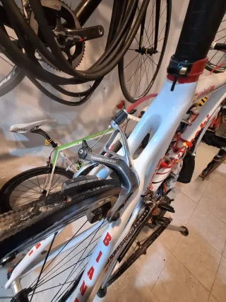 Bici Bianchi Carbono Talla 51