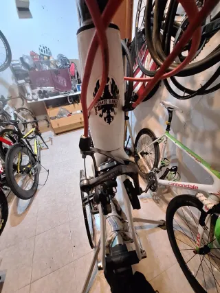 Bici Bianchi Carbono Talla 51