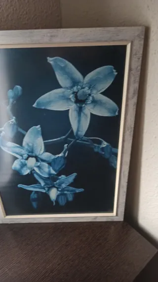 Cuadro Flores Azules Madera y Cristal