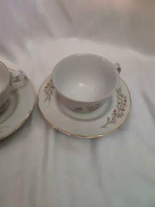 Coppia Tazze Vintage Royal Tognana