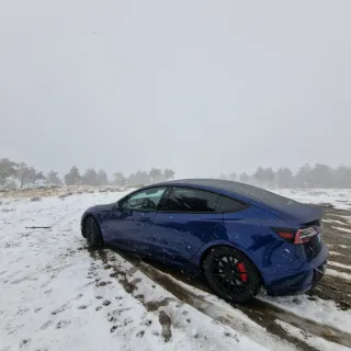 Tesla Model 3 Performance