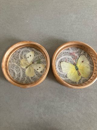 Sottobicchieri farfalle set 6