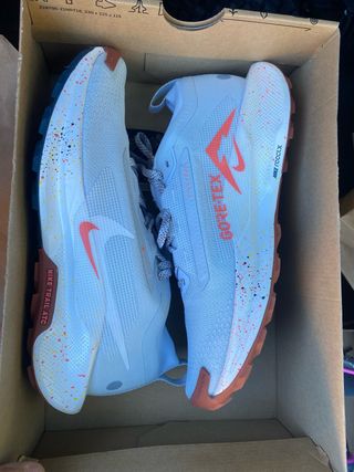 Nike Pegasus Trail GORE-TEX