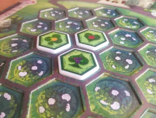 Dipingi le Rose [Edizione Deluxe]