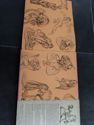 The Art of Tangled (Disney x Chronicle Books)