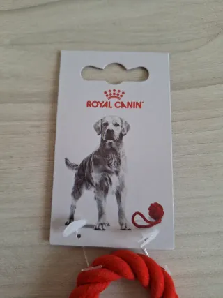 Juguete para perro de cuerda