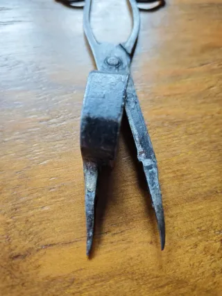 Forbici spelucchianti del XIX secolo