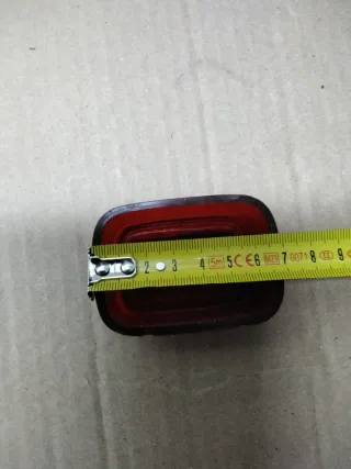 Tulipa Piloto Goneli