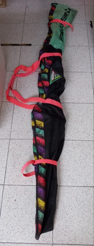 Esquís Dynastar con bastones y portaesquis