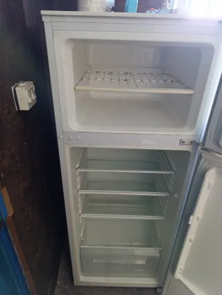 Nevera Hisense con diseño floral