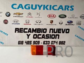 Tulipa Lancia y 10 LLA072 nuevo