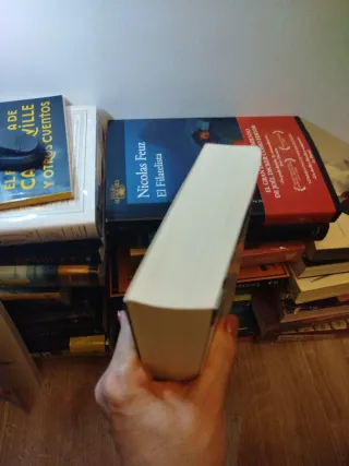 La desaparición de Stephanie Mailer (Literatura...