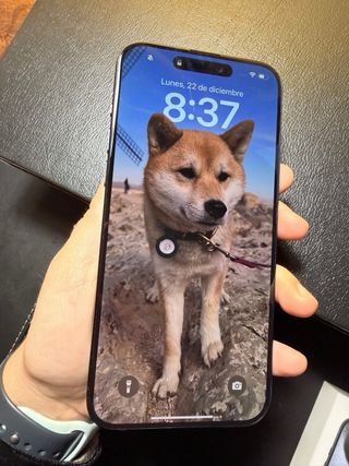 iPhone 15 Pro Max 256GB.