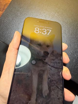 iPhone 15 Pro Max 256GB.