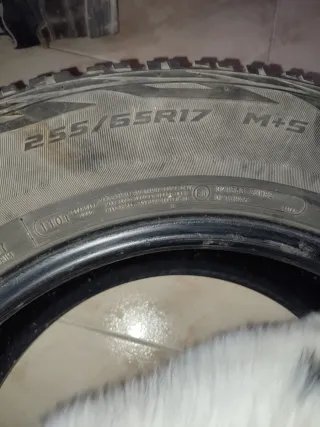 Neumático Cooper Discovery AT3 Sport  255/65-17