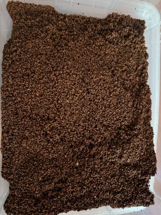 Arena para acuario de agua dulce