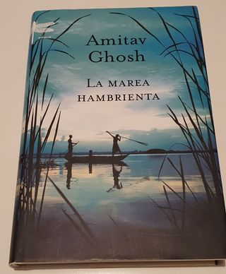 Lote de libros de novelas contemporáneas
