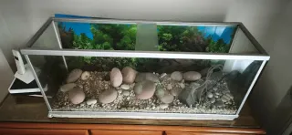 Acuario (125 litros) 100x30x41 cm Reforzado