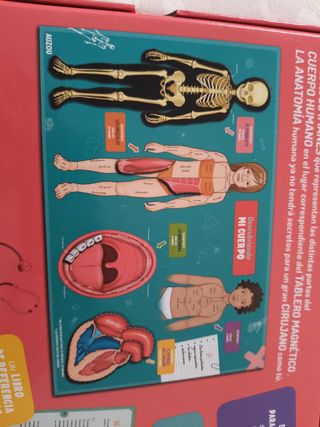 Juego Magnético Mi Cuerpo Auzou