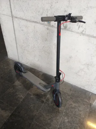 Patinete eléctrico gris