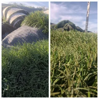 Venta césped artificial