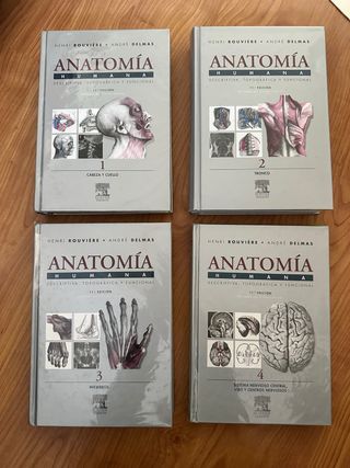 Anatomía humana