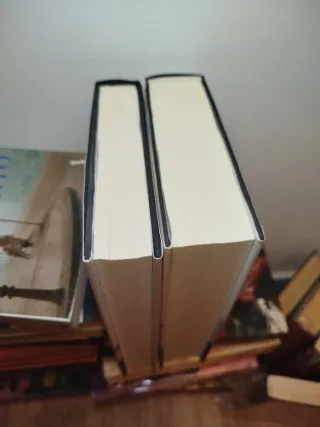 El prisionero del cielo