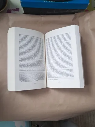 Libro de historia.Las Navas de Tolosa