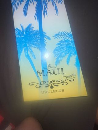 Ukulele blu in discrete condizioni