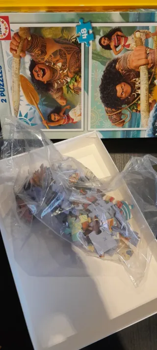 Lote 2 Puzzles DJECO y Educa