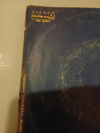 Vinile anno 1979 Ann Steel