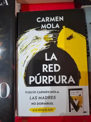 La Novia Gitana - Carmen Mola