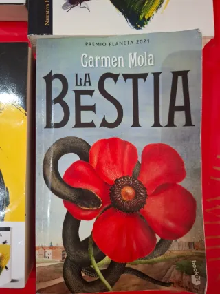 La Novia Gitana - Carmen Mola
