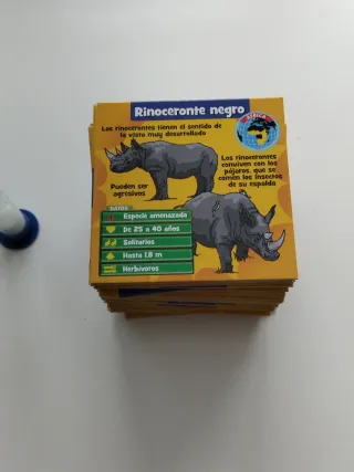 BrainBox Animali - Gioco da tavolo