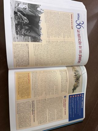 Vida 8a Ed (Spanish Edition)