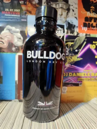 Bottiglie gin/rum vuote per bricolage