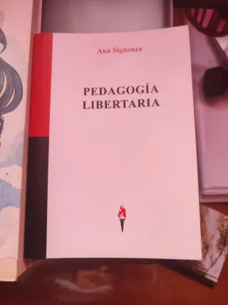 Lote de  3 libros feminismo