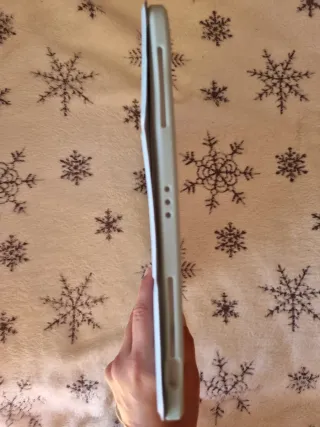 Funda iPad Pro 12.9 6/5/4ª Gen Gris