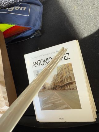 HENRI ROUSSEAU 1844 - 1910. GRANDES PINTORES ARTE