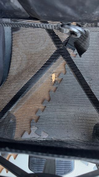 Silla de paseo ARRUE NANO 2 paraguas