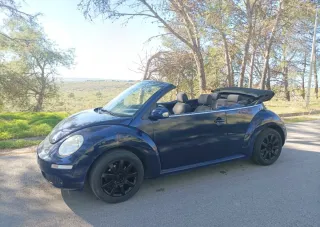Volkswagen Beetle 2007