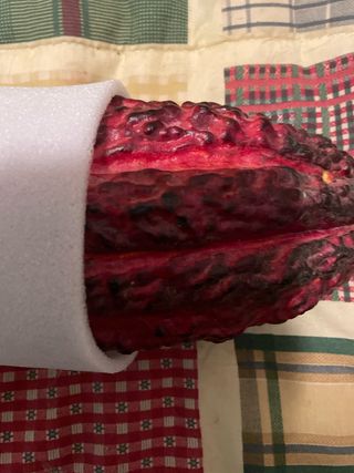 Media Vaina Semilla Cacao