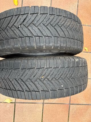 2 Neumáticos Michelin CrossClimate Reforzados