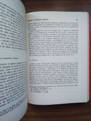 Estudios de literaturas románicas