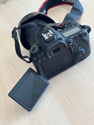 Canon EOS 6D Mark II + EF 24-105mm