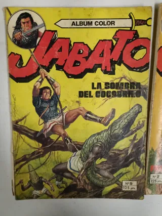 Lote 2 Cómics Jabato La Sombra del Cocobrico
