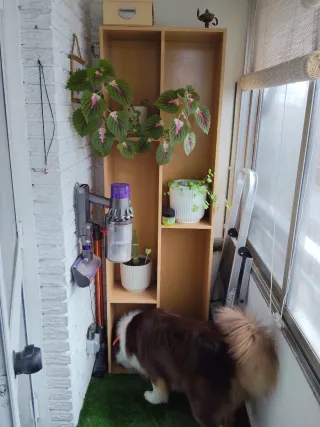 Estantería de madera para plantas o libros