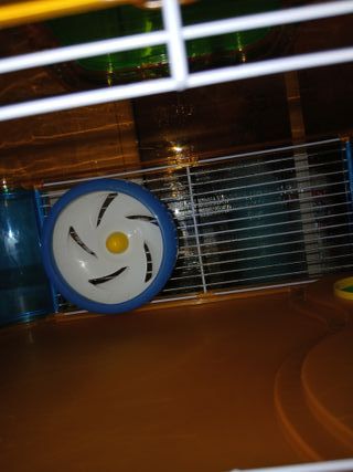 Jaula para hámsteres con accesorios