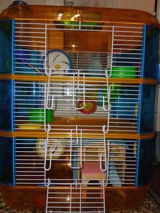 Jaula para hámsteres con accesorios