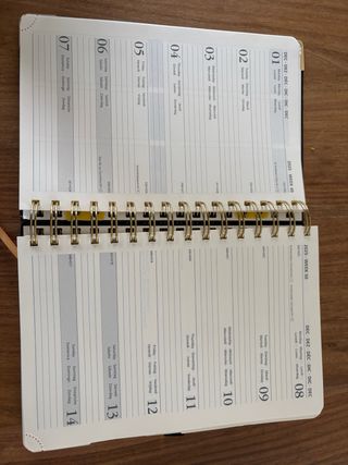 Agenda 2026 Vista día